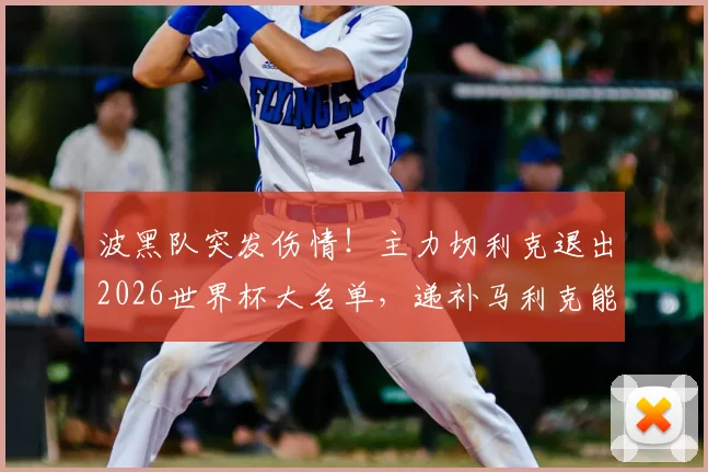 波黑队突发伤情!主力切利克退出2026世界杯大名单,递补马利克能否顶上?深度解析后防影响