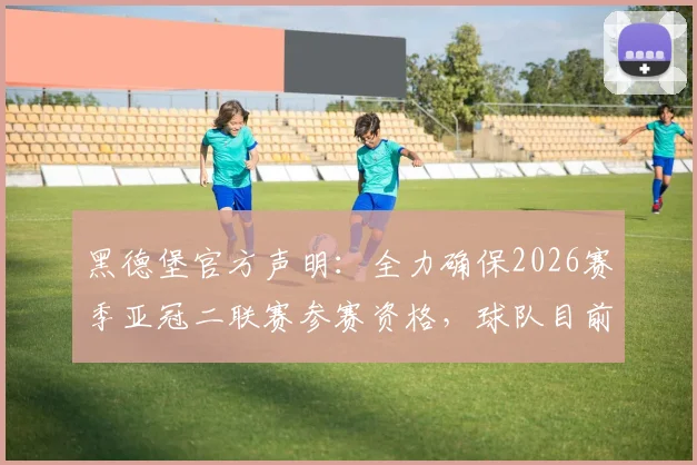 黑德堡官方声明:全力确保2026赛季亚冠二联赛参赛资格,球队目前面临哪些挑战与机遇?