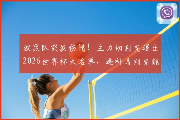 波黑队突发伤情！主力切利克退出2026世界杯大名单，递补马利克能否顶上？深度解析后防影响